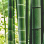 bamboo wardrobe
