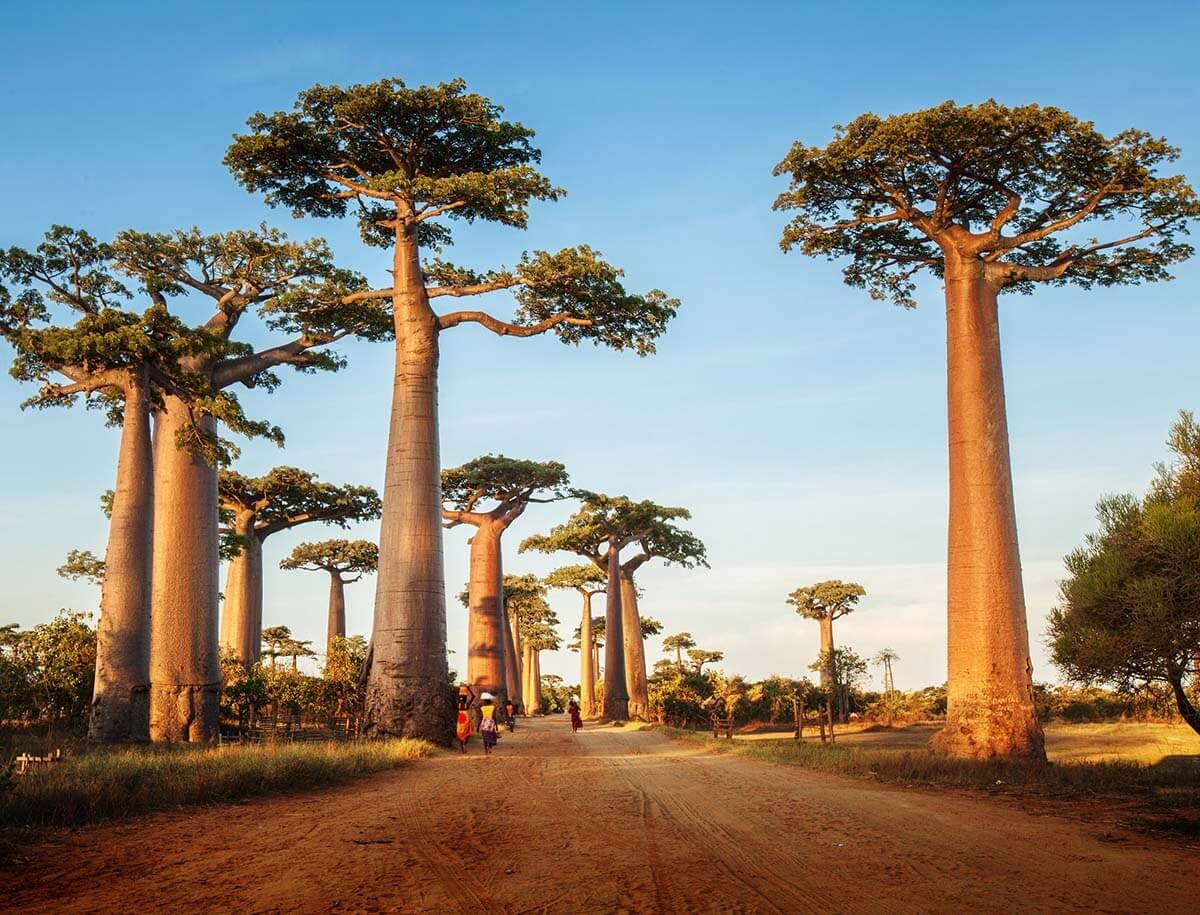 viaggio a Madagascar