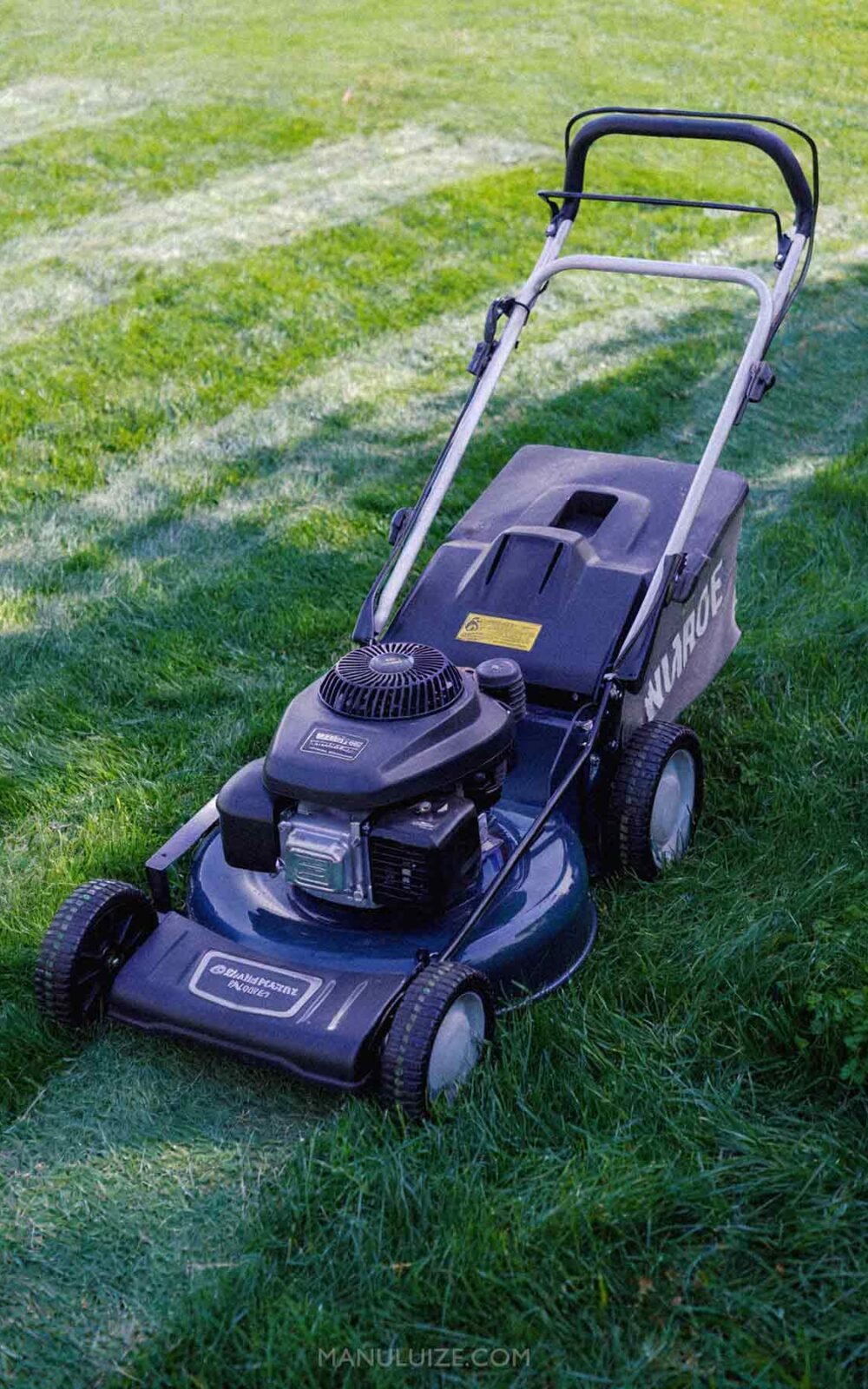 garden tips and tools