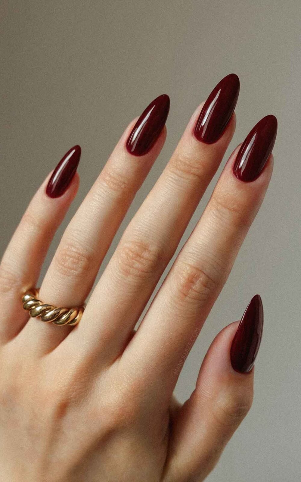 Simple burgundy nails