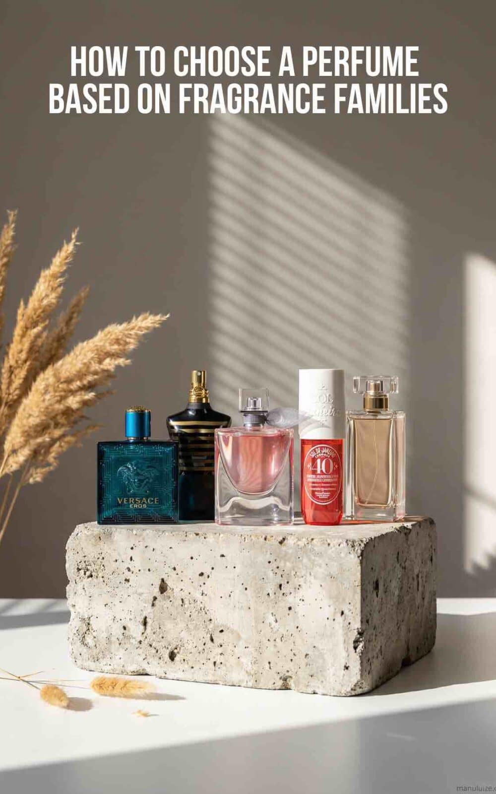 How to Choose Perfume Based on Fragrance Families How to Choose Perfume Based on Fragrance Families