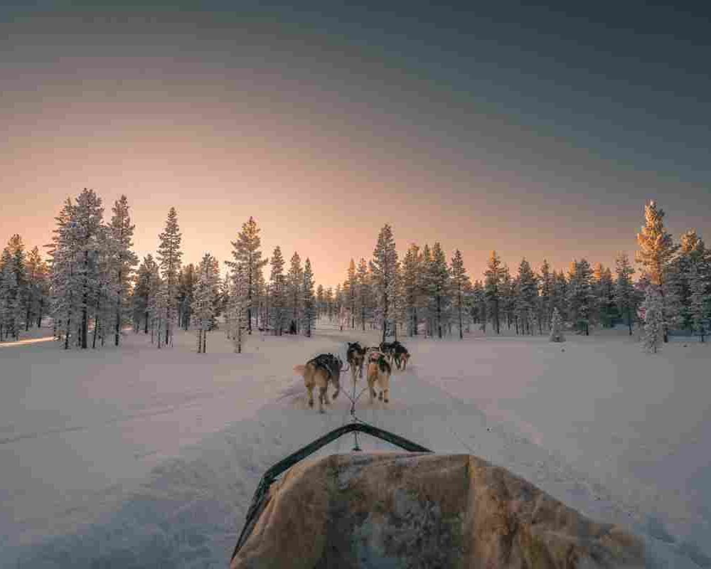 Finland laplands