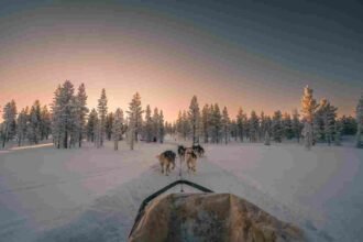 Finland laplands