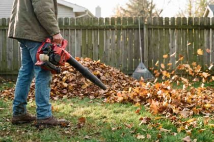 Gas Leaf Blower Uses for Clearing Leaves, Grass Clippings, and Yard Debris